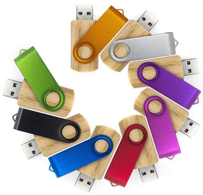 Pen Drive Giratrio Color Bambu